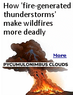 The fire cloud forms when heat sends smoke, ash, and moisture skyward, the plume cools, condenses, and forms a towering thunder cloud, which can generate lightning that ignites fresh embers and violent winds.